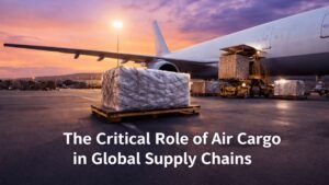 The Critical Role of Air Cargo in Global Supply Chains